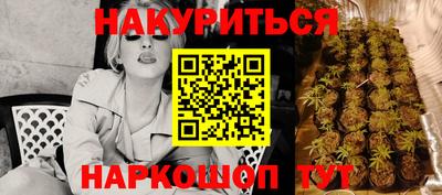 прущий лед Будённовск
