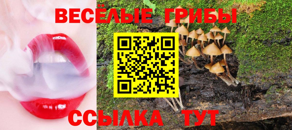 Галлюциногенные грибы Magic Shrooms  Вход с VPN  Щёлково 