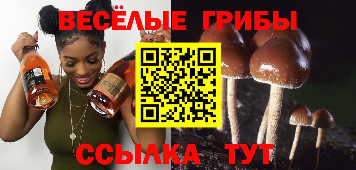 Псилоцибиновые грибы MAGIC MUSHROOMS Щёлково